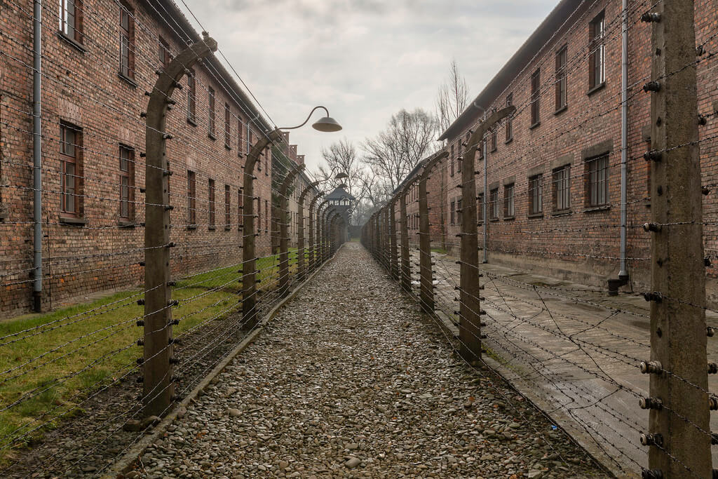 Auschwitz : Auschwitz :