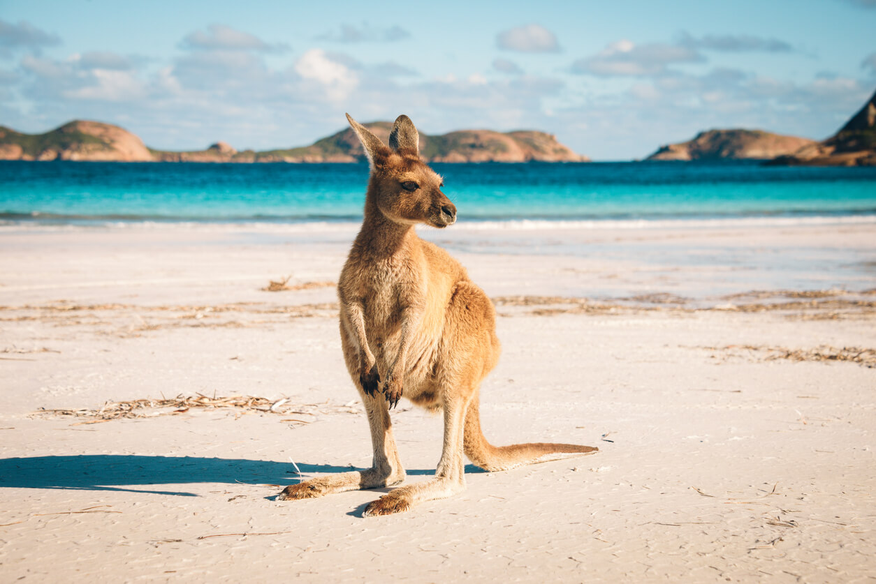 Australia July Weather 2024 Forecast and Temperature City by City