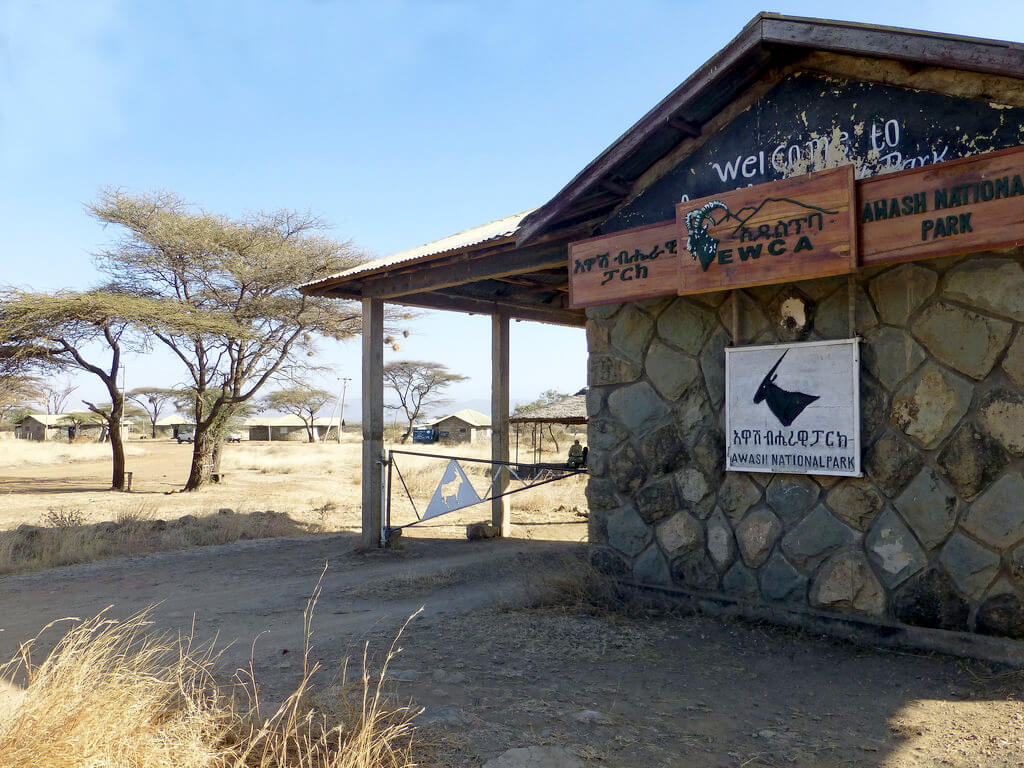 Awash National Park : Awash National Park :