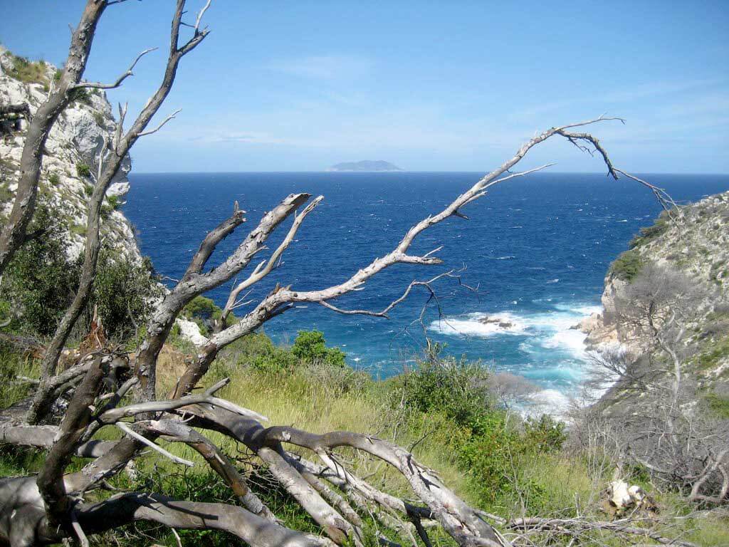 Biševo island : Biševo island :