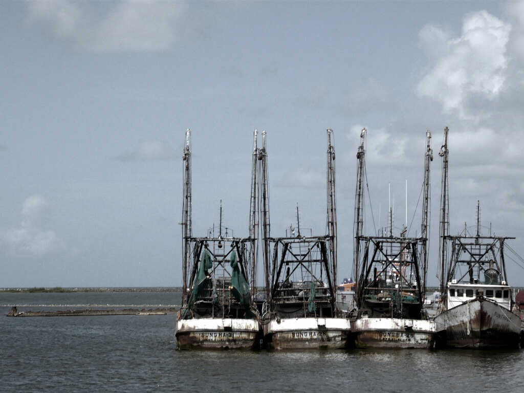 Bluefields : Bluefields :