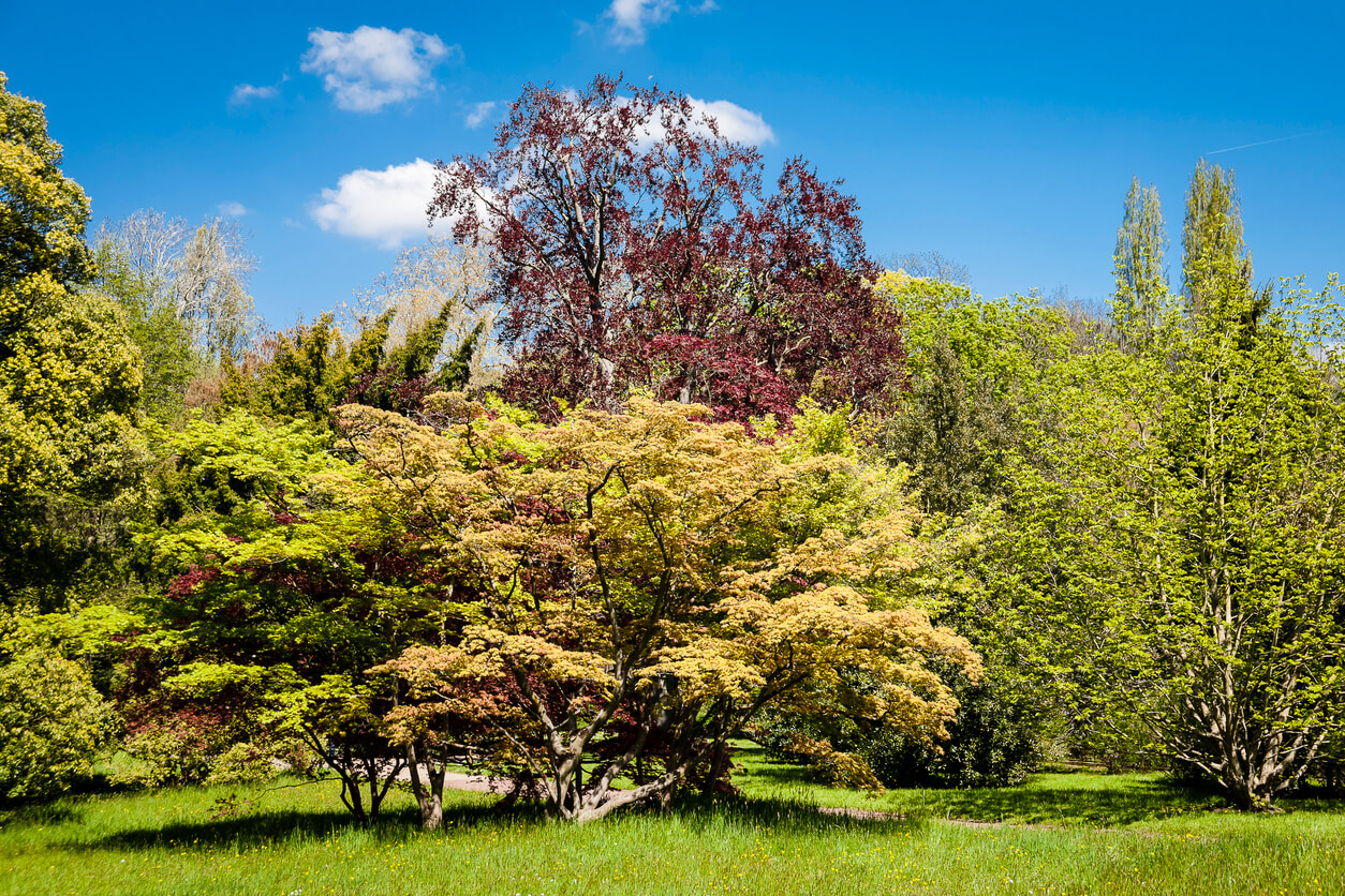 Chatenay-Malabry : Parc Vallee aux Loups Chatenay-Malabry : Parc Vallee aux Loups