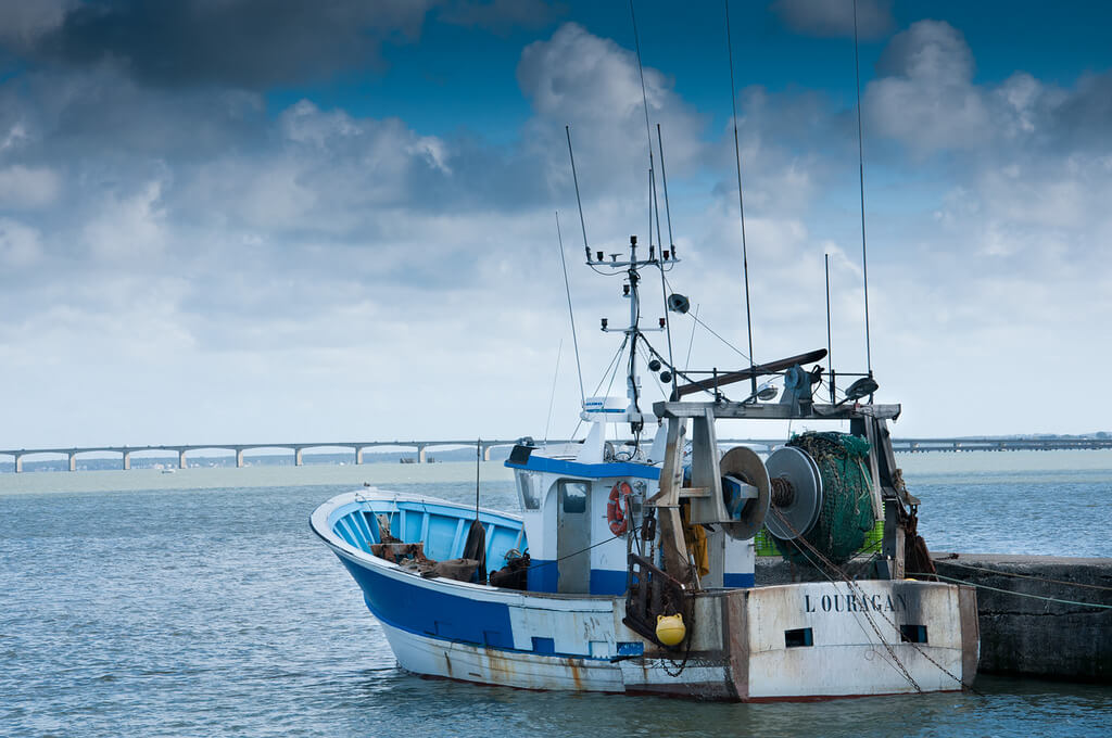Île d’Oléron : Île d’Oléron :