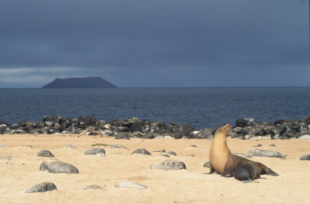 Weather In The Galapagos Islands In February 2021 Climate   Iles Gal Pagos 