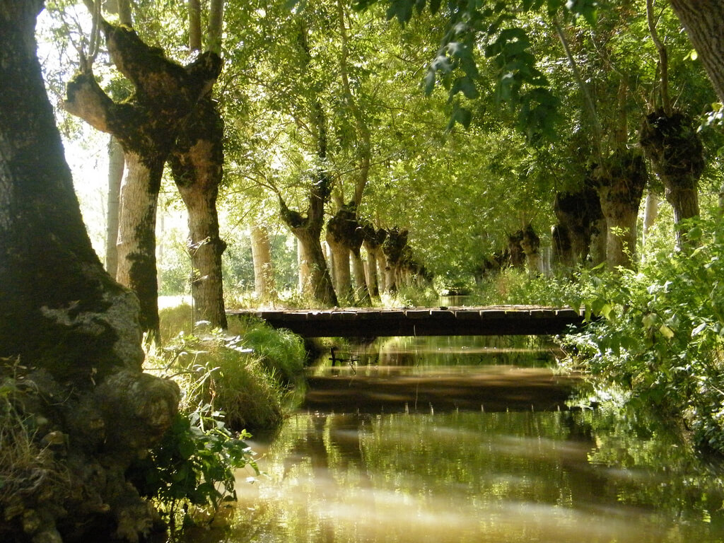 Marais poitevin (Marans) : Marais poitevin (Marans) :