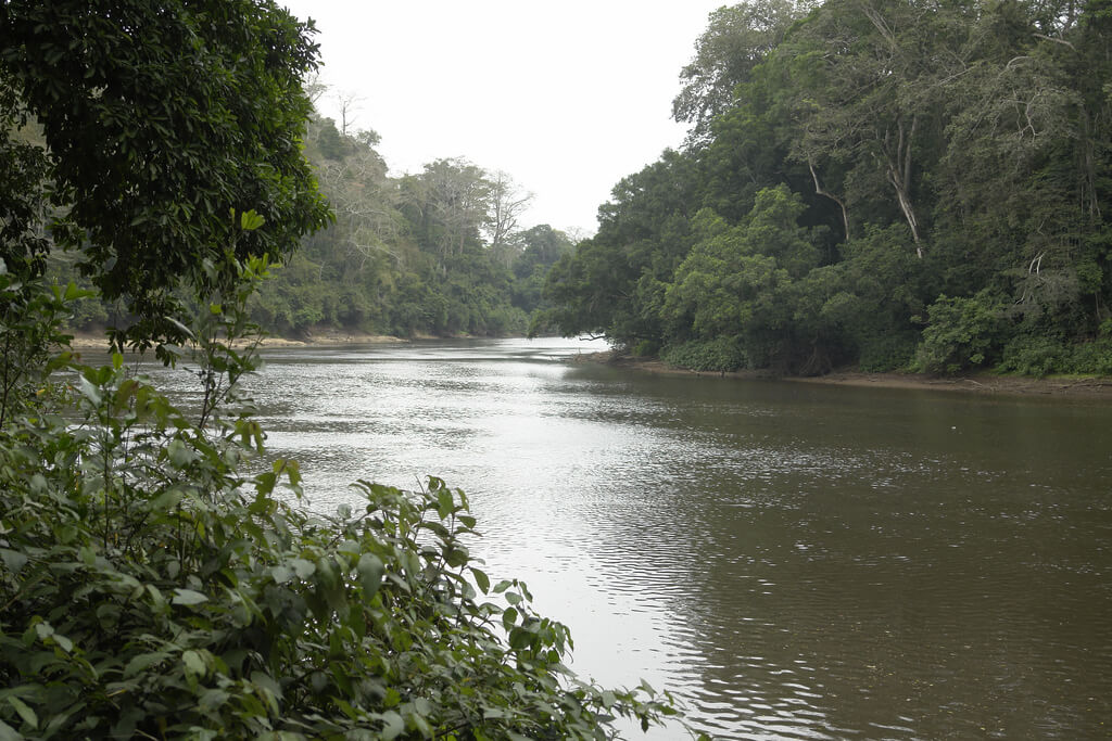 Moloundou : Moloundou :