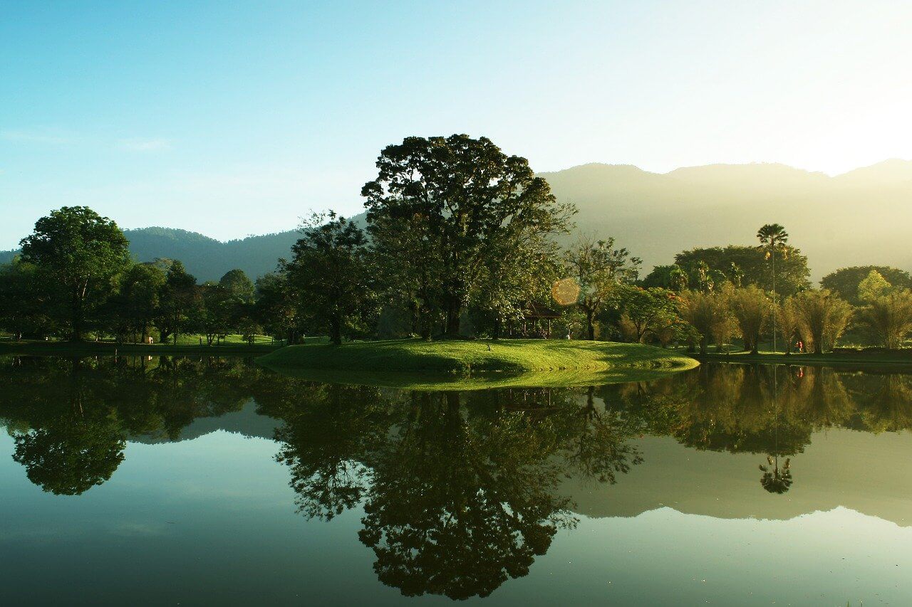 Taiping : Taiping Taiping : Taiping