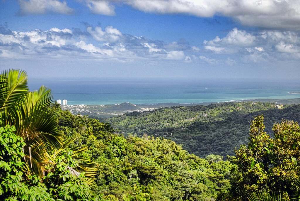 Weather in Puerto Rico in january 2021 - Climate, Temperature, Where to go?