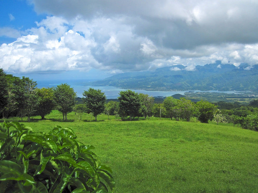 To'ahotu : To'ahotu :