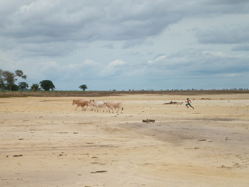 Ziguinchor : Ziguinchor :
